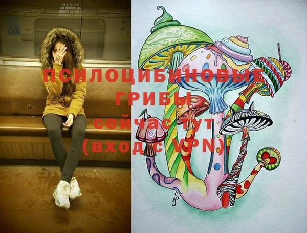 мяу мяу мука Покачи