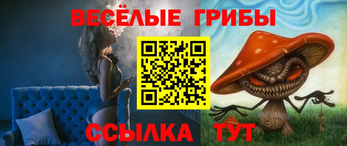 Рославль  Галлюциногенные грибы Psilocybine cubensis  Вход с VPN 