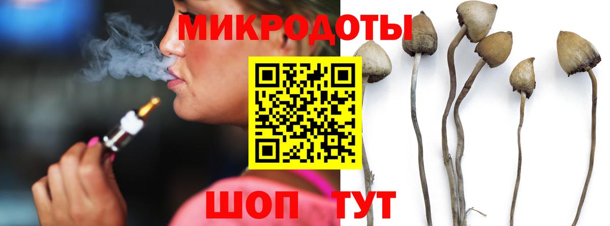 Галлюциногенные грибы Cubensis Рославль